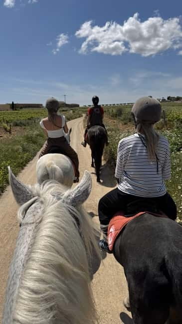 From Barcelona: PRIVATE Horseback Ride + Tapas + Picnic - The real takeaway: what you’ll remember after Barcelona