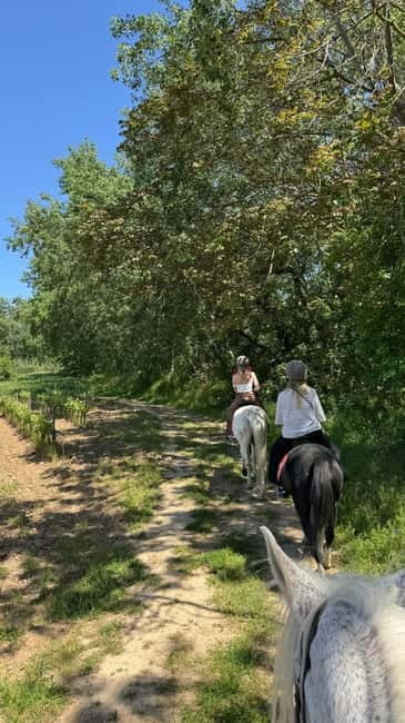 From Barcelona: PRIVATE Horseback Ride + Tapas + Picnic - Getting from Barcelona to Penedès without wasting the day
