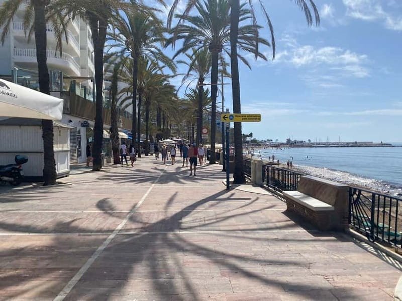 From Estepona, Mijas, Marbella: Marbella Private Tour with Transport, Tapas, and Drinks - Tapas and drinks: the meal stop that actually feels local