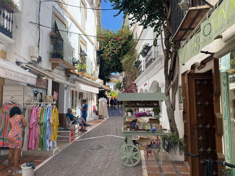 From Estepona, Mijas, Marbella: Marbella Private Tour with Transport, Tapas, and Drinks - The guide factor: pacing, clarity, and real momentum