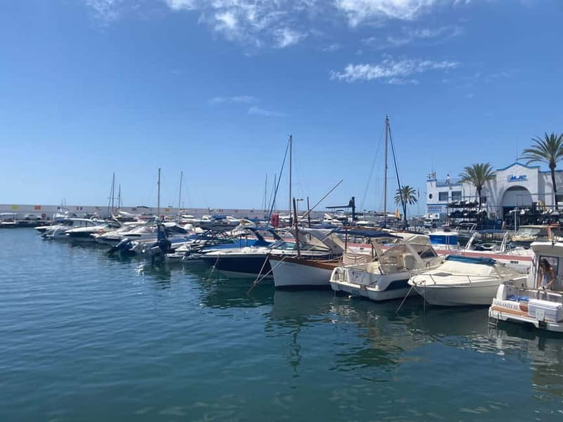 From Estepona, Mijas, Marbella: Marbella Private Tour with Transport, Tapas, and Drinks - Getting there in comfort: pickup, limousine, and cold drinks