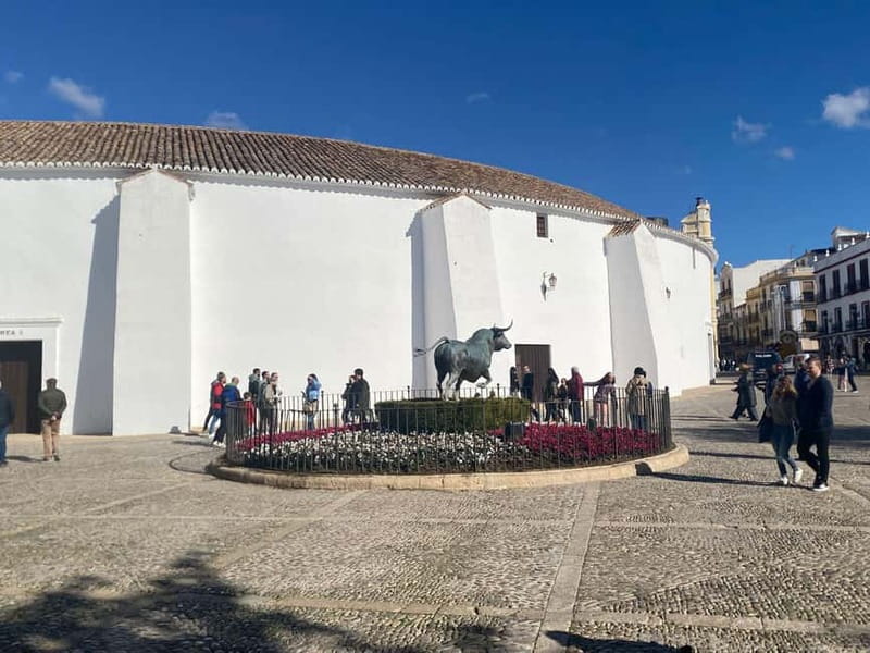 From Estepona: Ronda, private transport, cafe, bullring, tapas, drinks - Tapas, Regional Wine, and the Rabo del Toro You’ll Want