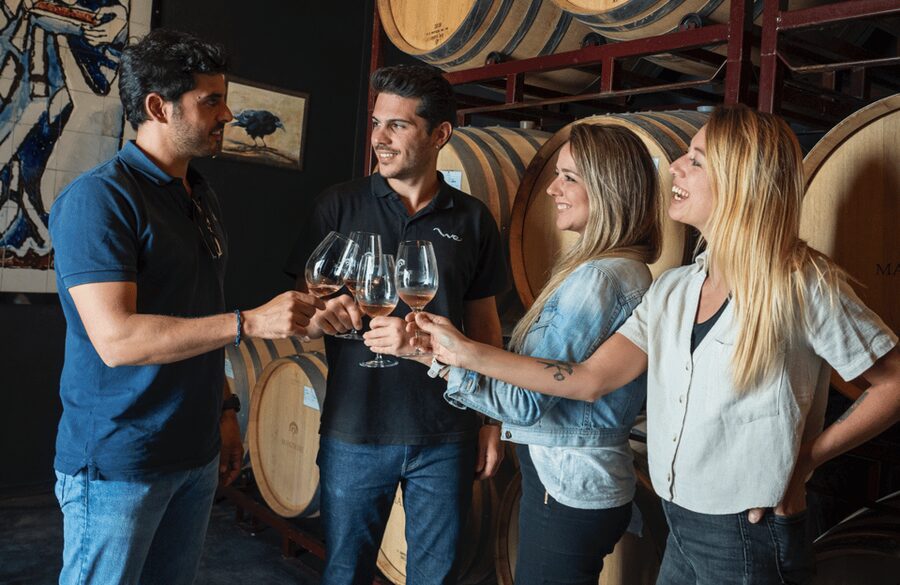 From Madrid: Traditional Villages, Winery Tour & Tapas Lunch - Who This Tour Fits Best (and Who Should Skip It)