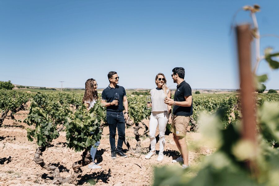 From Madrid: Traditional Villages, Winery Tour & Tapas Lunch - Aranjuez Gardens and Royal Palace: UNESCO in a Manageable Time Slot