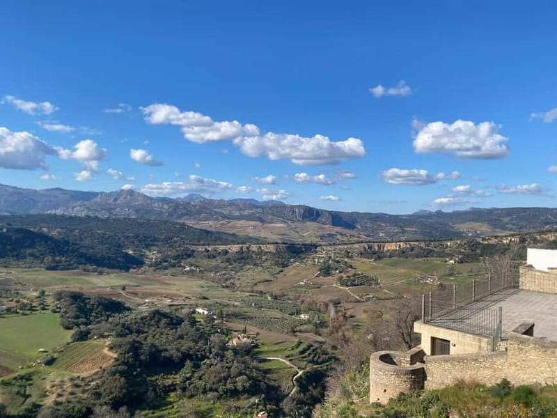 from Marbella, Estepona:Private tour Ronda incl. transfer,bullring,tapas - Bullring museum: why this arena visit makes sense