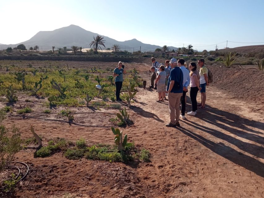 Fuerteventura: Tapas and Local Life Guided Tour - The green mojo cooking show and prickly pear flavors you might remember