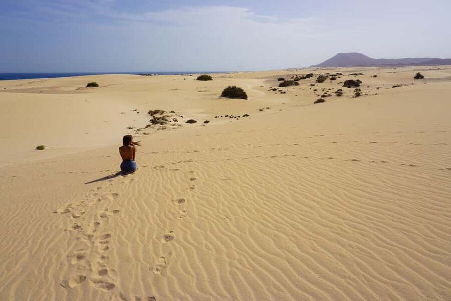 Fuerteventura: Top 5 Instagram Spots Full-Day Tour & Tapas - Ajuy Caves and the Black Beach: Where the Dramatic Coast Actually Makes Sense