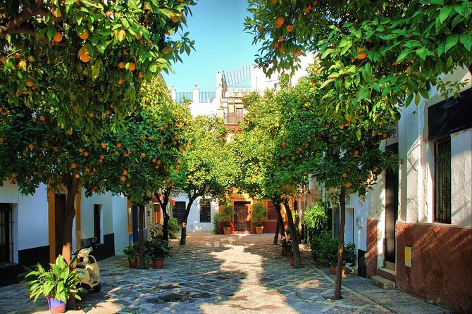 Full Day Seville Tour with tickets (optional Tapas & Flamenco) - The Cathedral de Sevilla and the Columbus tomb moment