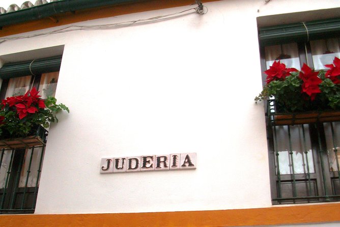 Full Day Seville Tour with tickets (optional Tapas & Flamenco) - Giralda climb: the best view upgrade if your legs cooperate