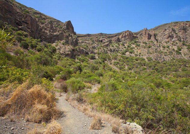Gran Canaria 7 Highlights Small Group Tour with Tapas Picnic - Key highlights you’ll remember