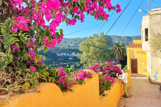 Gran Canaria 7 Highlights Small Group Tour with Tapas Picnic - Playa de Tufia: black sand, cave houses, and local calm