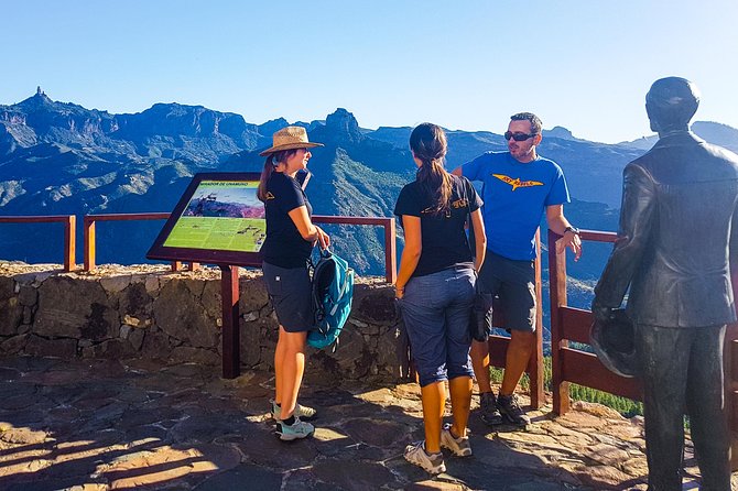 Gran Canaria highlights & hidden gems with local guide Sky Rebels - Mirador Degollada de la Yegua: meet the 1,000 palm trees valley
