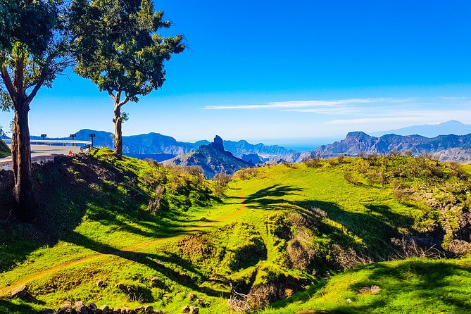 Gran Canaria highlights & hidden gems with local guide Sky Rebels - Lunch picnic with alcohol: what’s included and how to plan around it