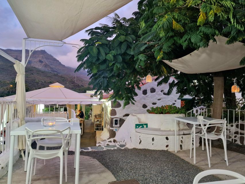 Gran Canaria: Spanish Tapas and Wine Tasting Tour in Mogan - The wine side: Spanish and Canarian bottles, explained by a maître sumelier