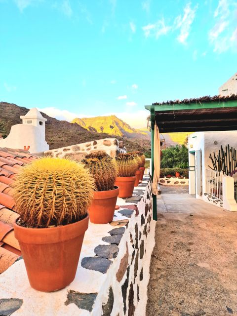 Gran Canaria: Spanish Tapas and Wine Tasting Tour in Mogan - Vermut Lolito: why this one drink can change how you rate the whole tour