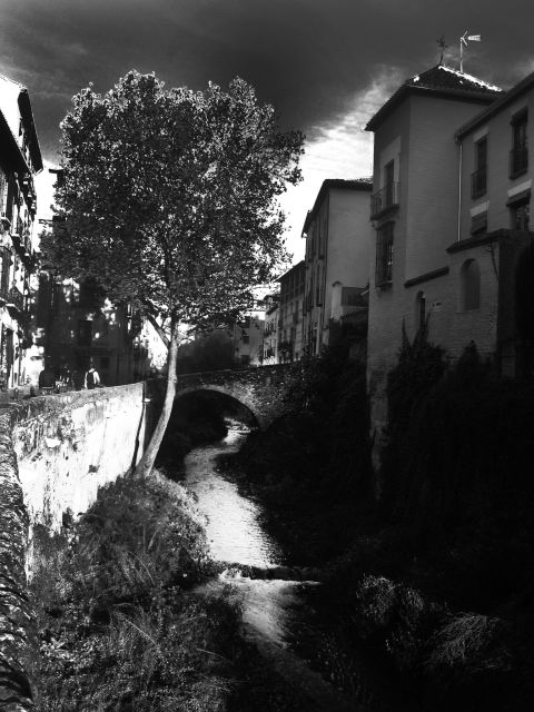 Granada Albaicín: 2.5-Hour Tapas & Drinks Walking Tour - The I love Granada shop wine tasting stop: plan for the best, check on the day