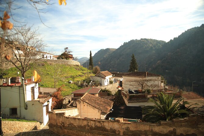 Granada Highlights Tour with Tapas Breaks by Electric Bike - Guides, Groups, and the Comfort Factor on Steep Streets