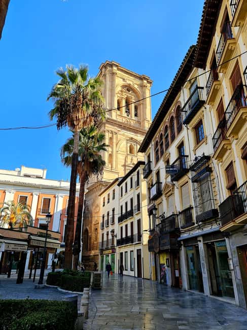 Granada: Spanish Tapas Tour with Local Guide. All included. - The Walk to a Secret Night Alhambra Viewpoint