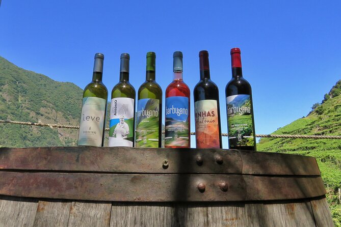 Guided 4x4 Adventure and Skywalk with Wine and Tapas in Madeira - Quick hits on this Madeira 4x4 and wine outing