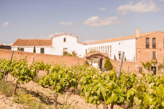 High-End Vineyard Escape: Cava, Tapas & Wine | Private Tour - How to plan your day outside Barcelona