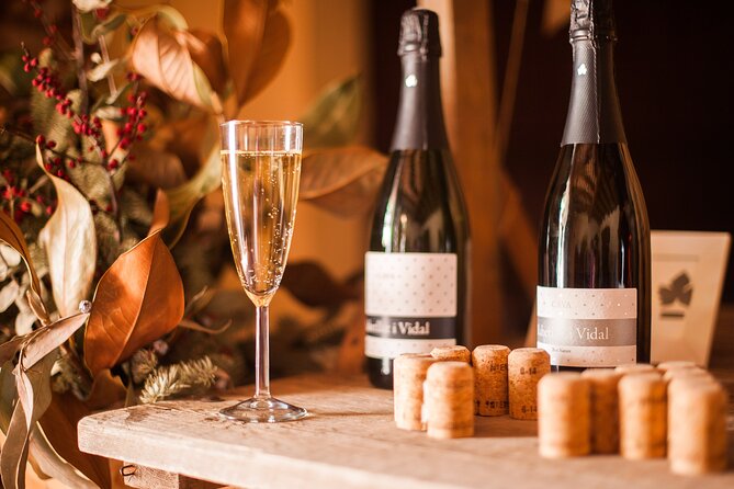 High-End Vineyard Escape: Cava, Tapas & Wine | Private Tour - Should you book this private cava and tapas escape?