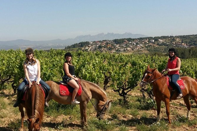 Horseback Ride, Penedes, Wine Tasting & Tapas Private Tour - Key Highlights Worth Getting Excited About