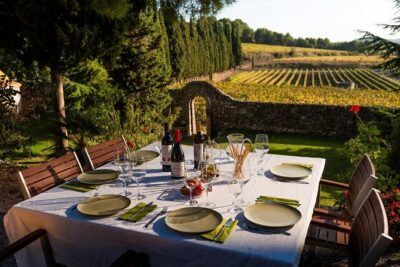 Horseback Ride, Penedes, Wine Tasting & Tapas Private Tour - Stop 1: Pares Balta Winery Visit + Wine Tasting (What You’ll Actually Do)