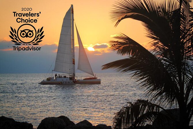 Key West Sunset Sail: Dolphin Watching, Wine, and Tapas - Tapas and Premium Drinks: Included Means You Can Actually Relax