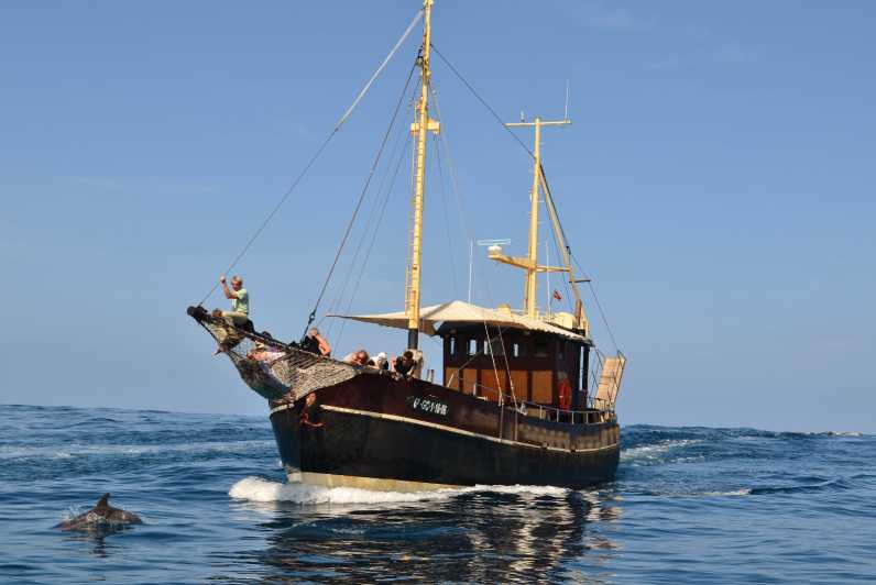 La Palma: 4-Hour Coastline Cruise with Tapas and Barbecue - Entering the Port of Tazacorte: the Bussard setup and cava welcome