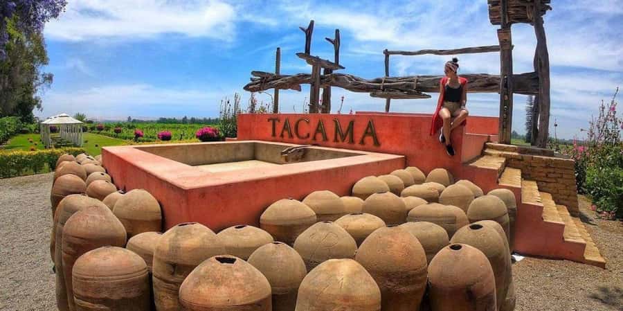 Lagos/Praia da Luz: Wine Tour, Tastings, Tapas, and Music - The Tasting Part: Four Wines, Four Pairings, One Host at Your Pace