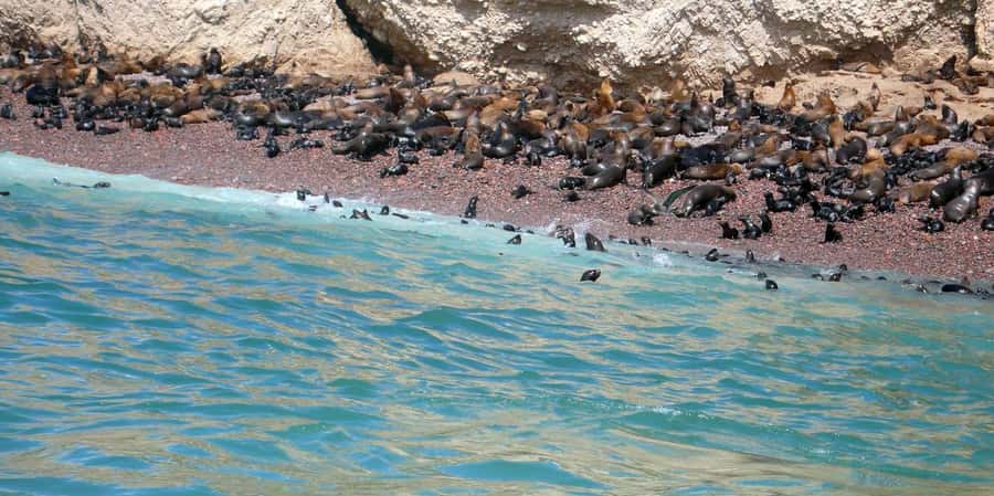 Lagos/Praia da Luz: Wine Tour, Tastings, Tapas, and Music - Timing and Tour Length: 2 Hours or Up to 3.5 Hours?