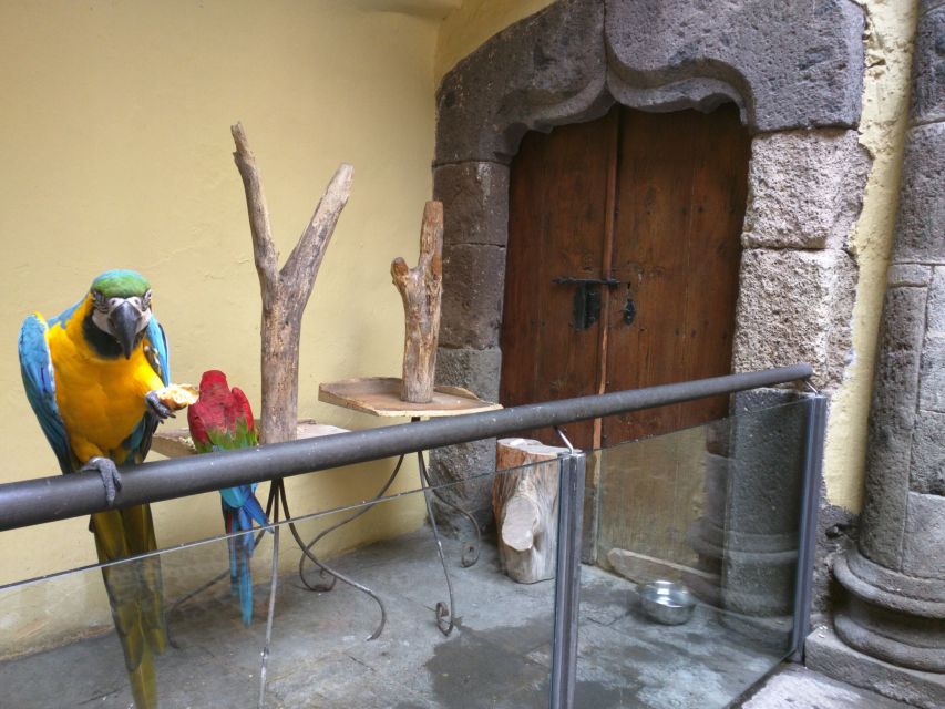 Las Palmas: Private Old City Guided Walking Tour with Tapas - What you’ll see: Columbus House, the Cathedral, and the streets between