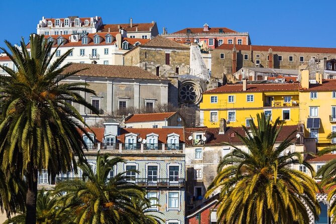 Lisbon Food Tour with 10+ Tastings of Local Delicacies & Wines - Key things I’d bet on before you book
