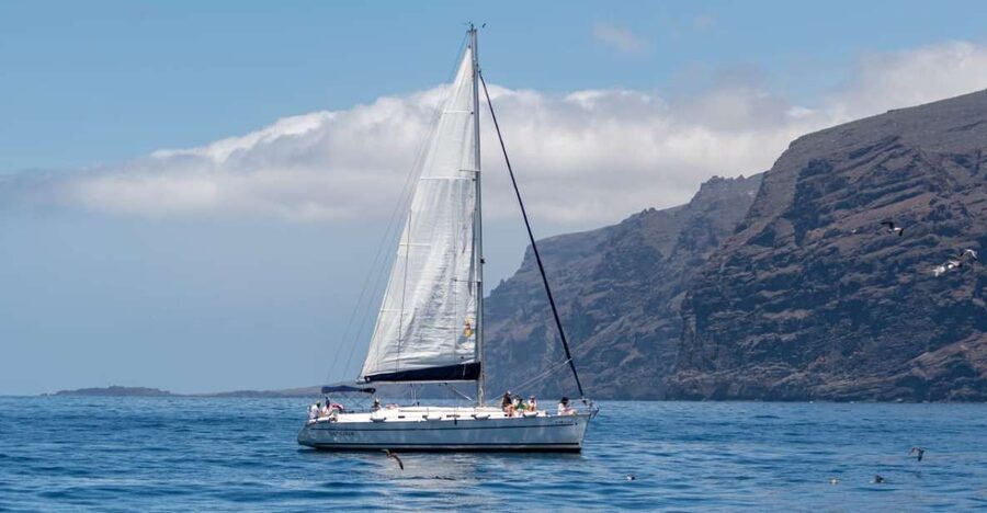 Los Gigantes: Sailing Excursion with Swimming, Drink & Tapas - Key things to know before you go on Los Gigantes