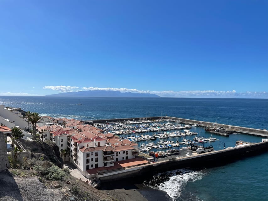 Los Gigantes: Sailing Excursion with Swimming, Drink & Tapas - Whale and dolphin spotting: what to expect in the search