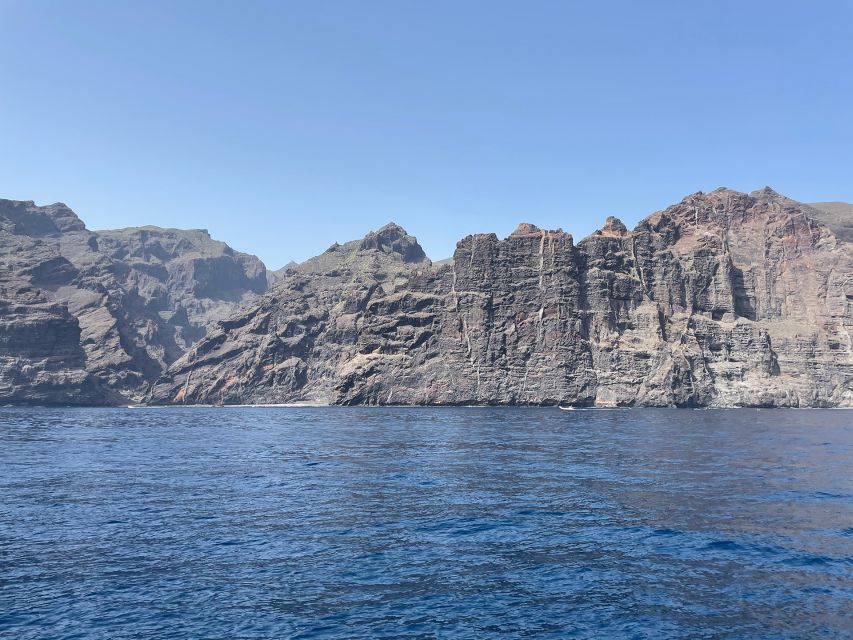 Los Gigantes: Sailing Excursion with Swimming, Drink & Tapas - Rules onboard that protect wildlife (and your experience)