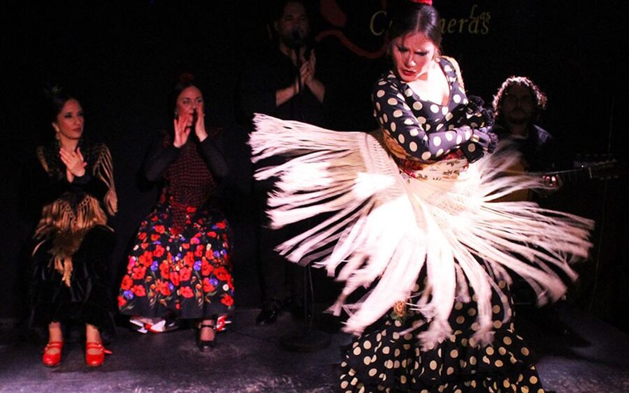 Madrid: Flamenco Show with Tapas and Wine Tour - Starting near Plaza de San Miguel: the smartest way to get your bearings