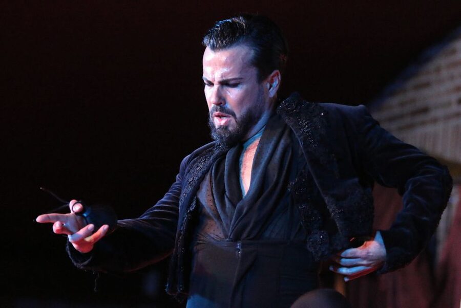 Madrid: Los Porches Flamenco Show with Tapas and Wine Ticket - Tapas and Wine: Real Value, and Where People Feel Shortchanged