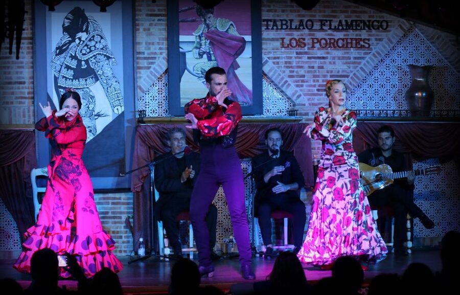 Madrid: Los Porches Flamenco Show with Tapas and Wine Ticket - Price and Logistics: Is $53 Good Value Here?
