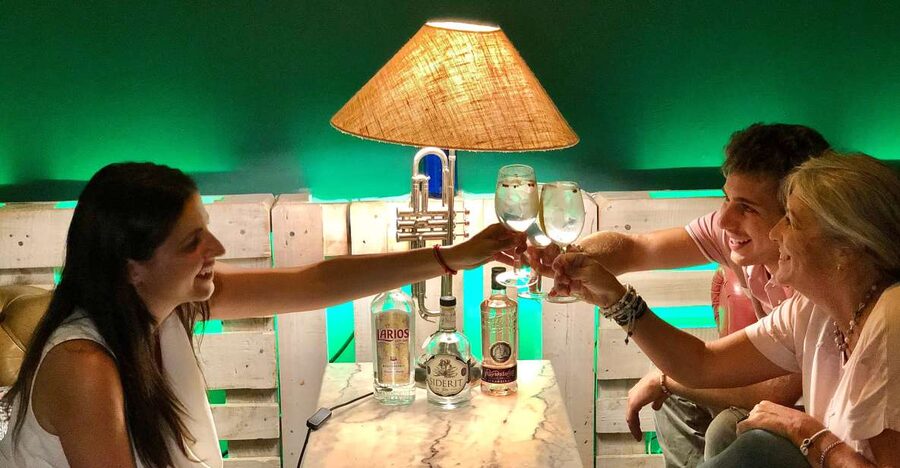 Madrid: San Miguel view Gin and Tonic Workshop with Tapas - Your 60-minute plan: three gins, three tonics, three tapas