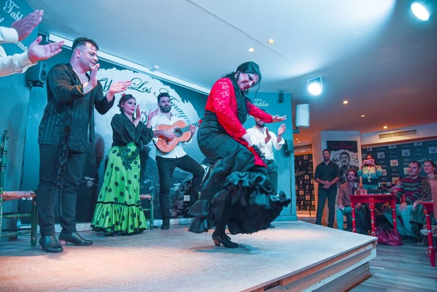 Malaga: Flamenco, Tapas, and Wine Tour - Key things to know before you go