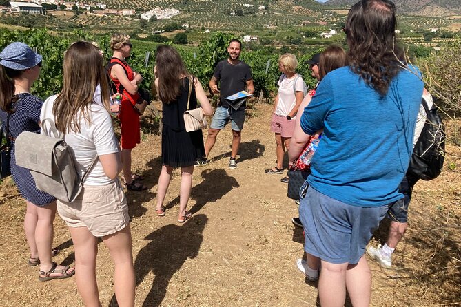 Malaga Organic Vineyard and Winery Six Wines Tapas and Transfer - Key Highlights You’ll Feel on Day One