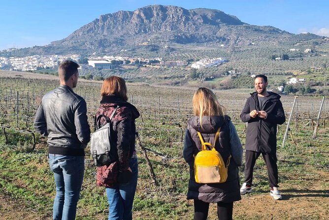 Malaga Organic Vineyard and Winery Six Wines Tapas and Transfer - Price and Value: Why $114.93 Feels Fair Here