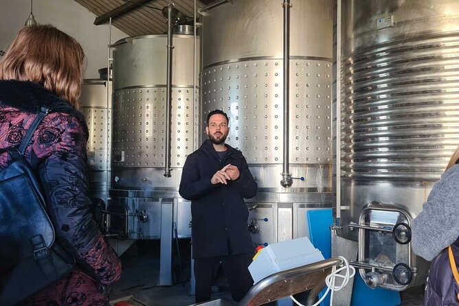 Malaga Organic Vineyard and Winery Six Wines Tapas and Transfer - Who This Malaga Organic Wine Tour Fits Best