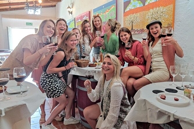 Malaga Organic Vineyard and Winery Six Wines Tapas and Transfer - Should You Book This Wine and Tapas Transfer Tour?