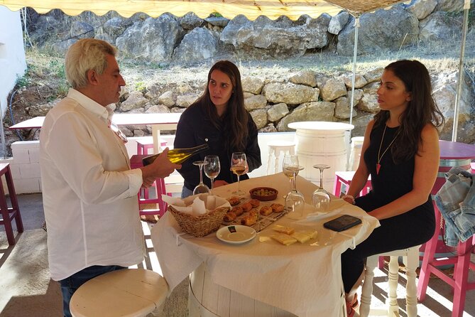 Malaga Organic Vineyard and Winery Six Wines Tapas and Transfer - FAQ