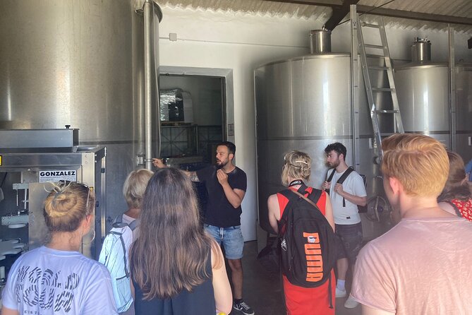 Malaga Organic Vineyard and Winery Six Wines Tapas and Transfer - Bodega Malvajio: The Garage Winery Tasting With 6 Organic Wines