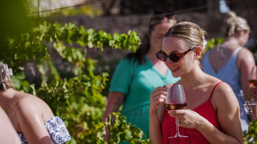 Malaga: Organic Vineyard Tour with 6 Wines, Tapas & Transfer - Key things to know before you go