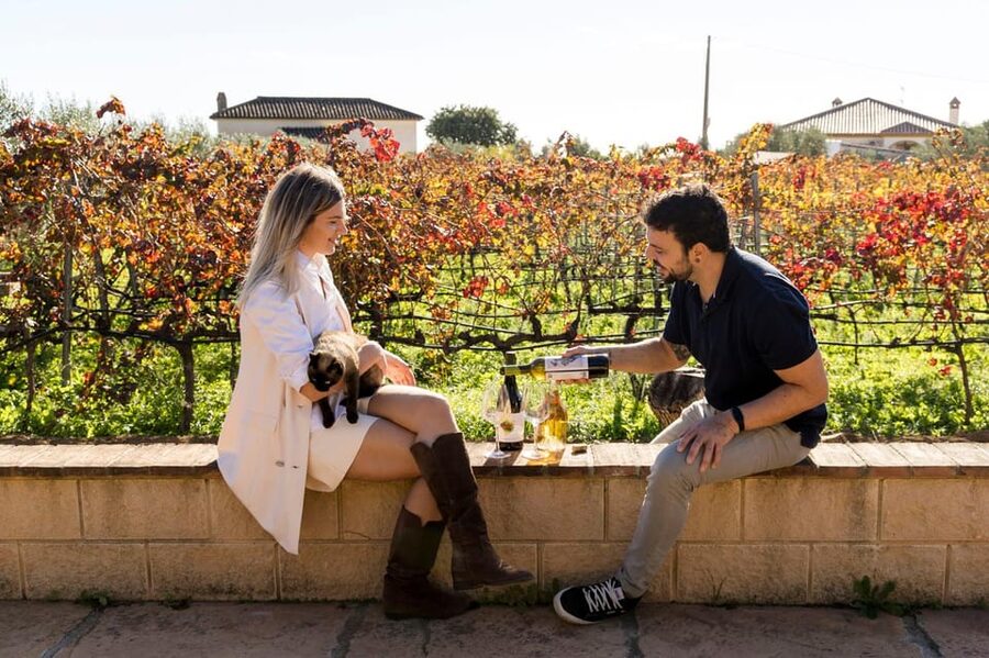 Malaga: Organic Vineyard Tour with 6 Wines, Tapas & Transfer - A Private Organic Estate Just 30 Minutes from Malaga