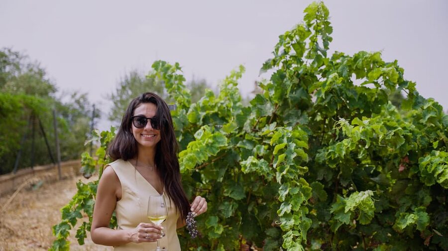 Malaga: Organic Vineyard Tour with 6 Wines, Tapas & Transfer - Meeting at Plaza de la Marina and the Smooth Ride Out